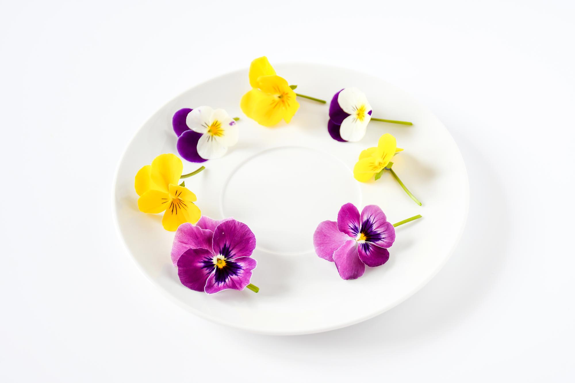Close-up plated starter with edible flowers